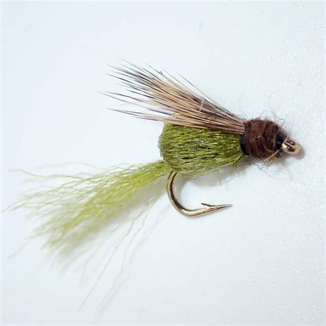 caddis fly blog|caddis fly shop blog.